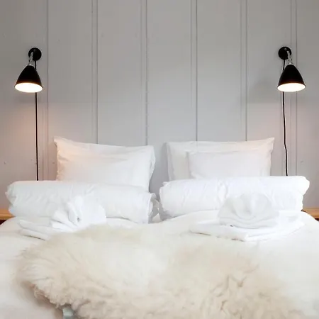 فندق Elveseter 3*